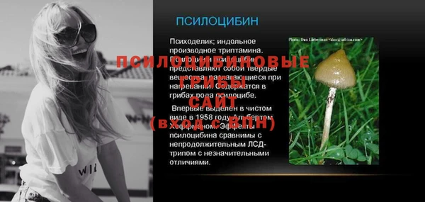 метадон Михайлов