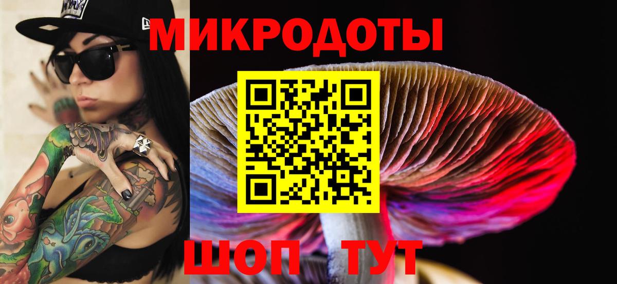 наркошоп  Вход с VPN  Тольятти  Псилоцибиновые грибы Cubensis  Псилоцибиновые грибы Psilocybe 